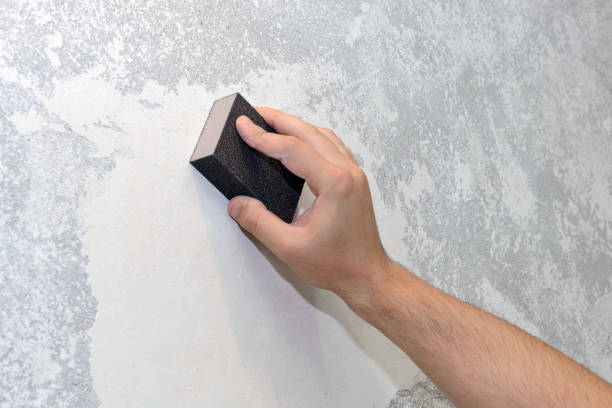 Reliable Carbondale, KS Mold Removal Solutions