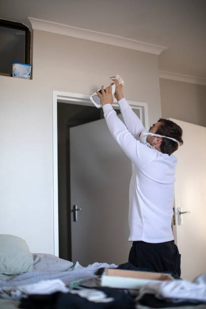 Best Mold Removal for HVAC Installations  in Carbondale, KS