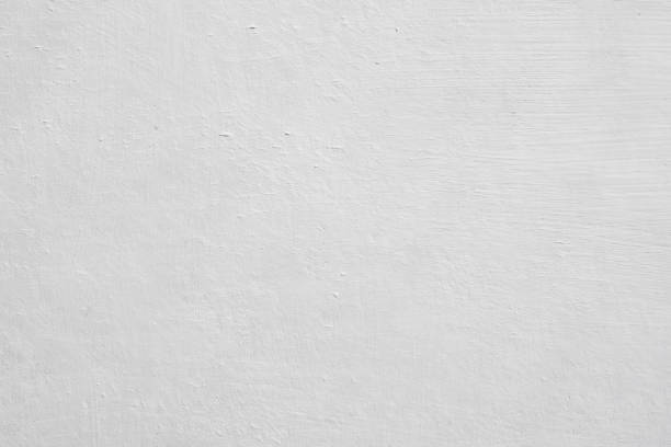Best Mold Remediation for Rental Properties  in Carbondale, KS