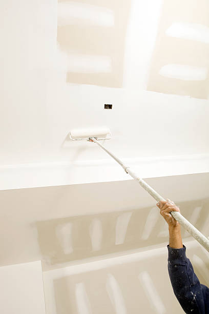 Best Black Mold Removal  in Carbondale, KS