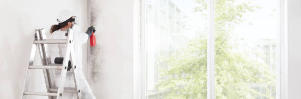 Best Biohazard Mold Removal  in Carbondale, KS