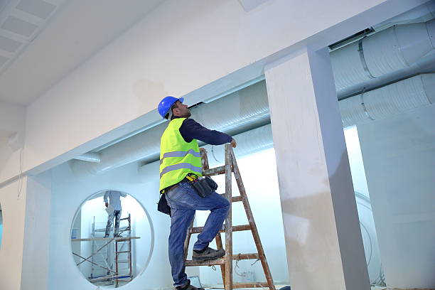 Best Emergency Mold Remediation  in Carbondale, KS