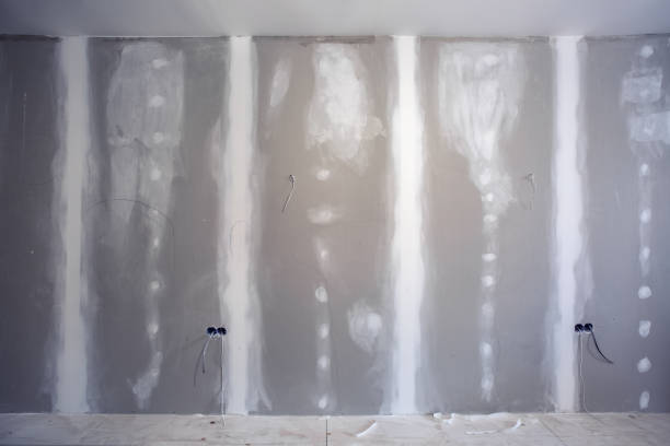 Best Forensic Mold Investigation  in Carbondale, KS